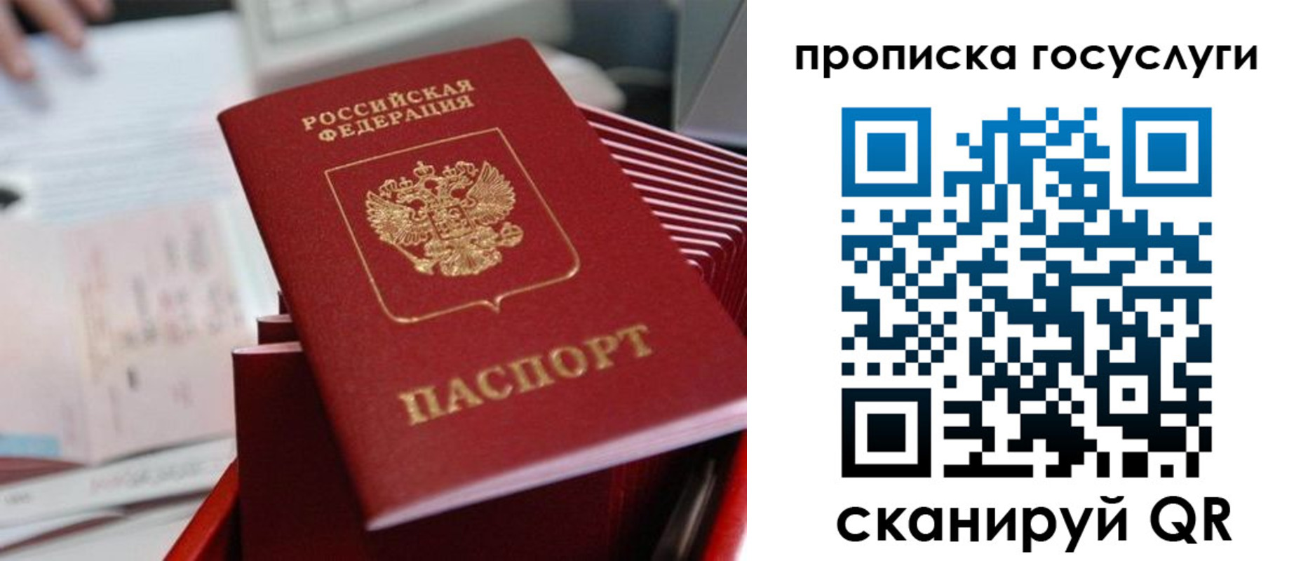 прописка законно в Новоульяновске